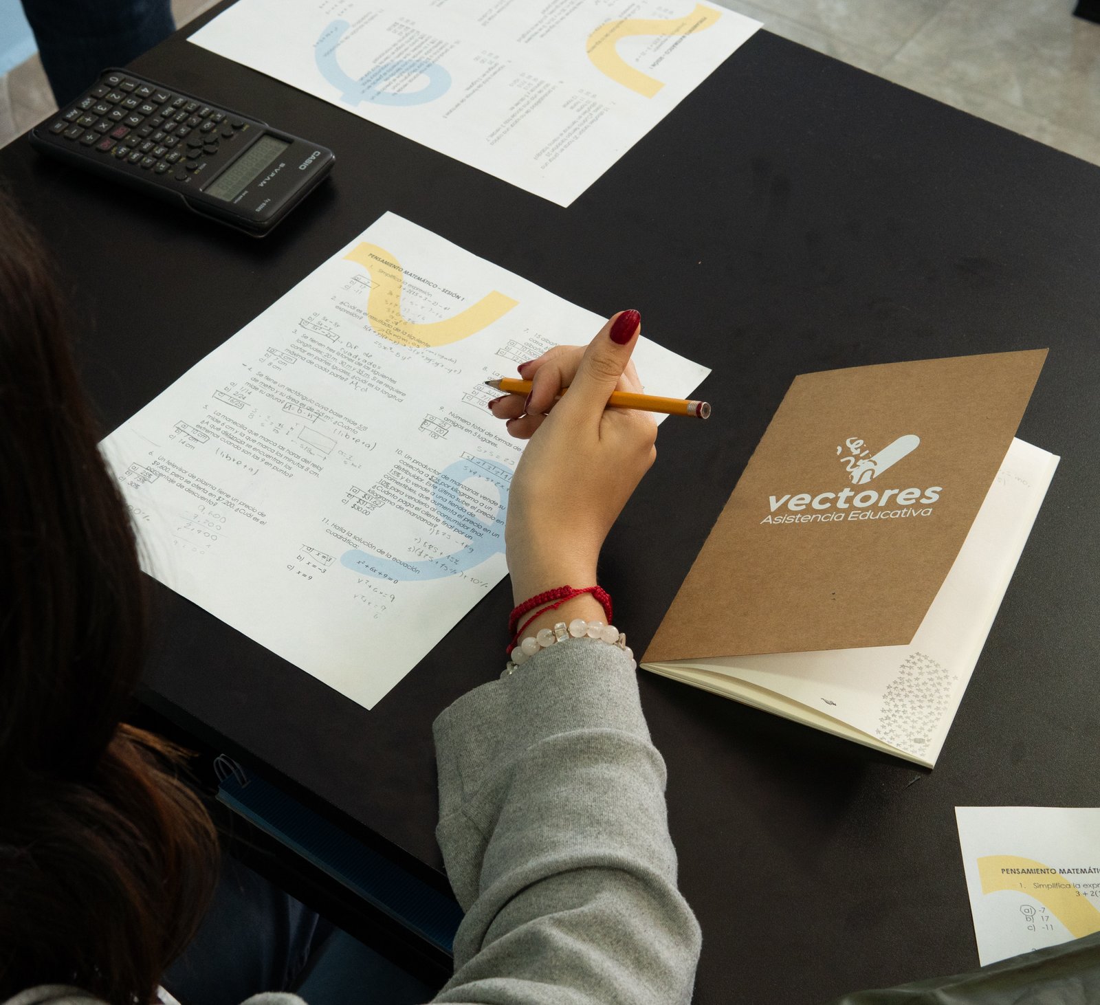 Sesión de asesoría Vectores AE